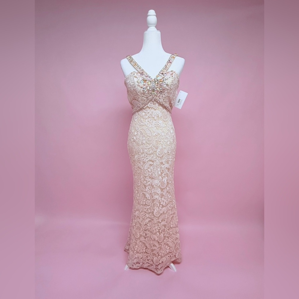 Stunning Lace Evening Gown - Picture 3 of 16